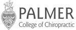 palmer logo